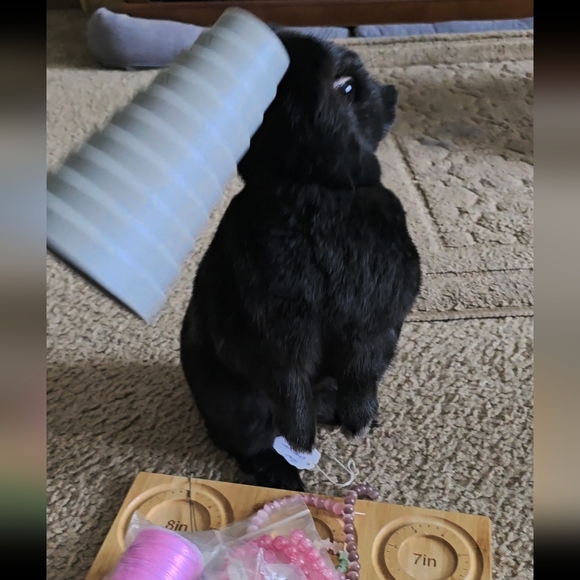 10mm Moss Agate Bracelet - Picture 7 of 9